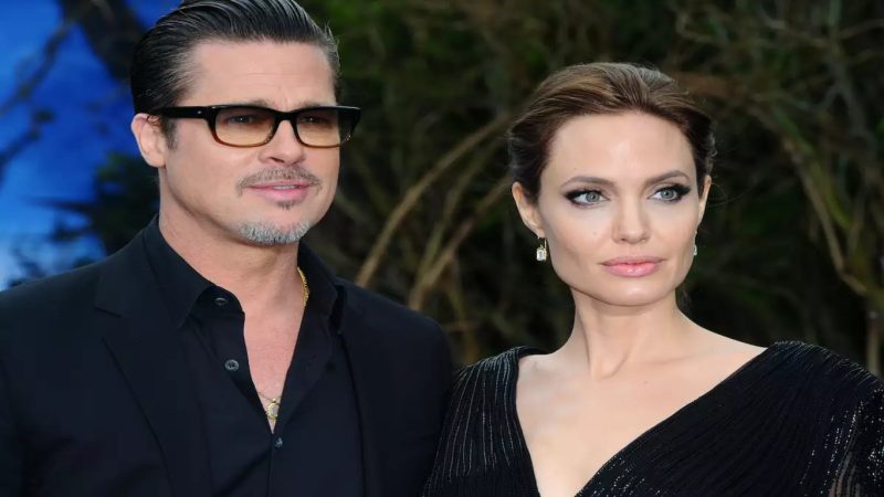 Disputa de Angelina Jolie y Brad Pitt por la Bodega Francesa